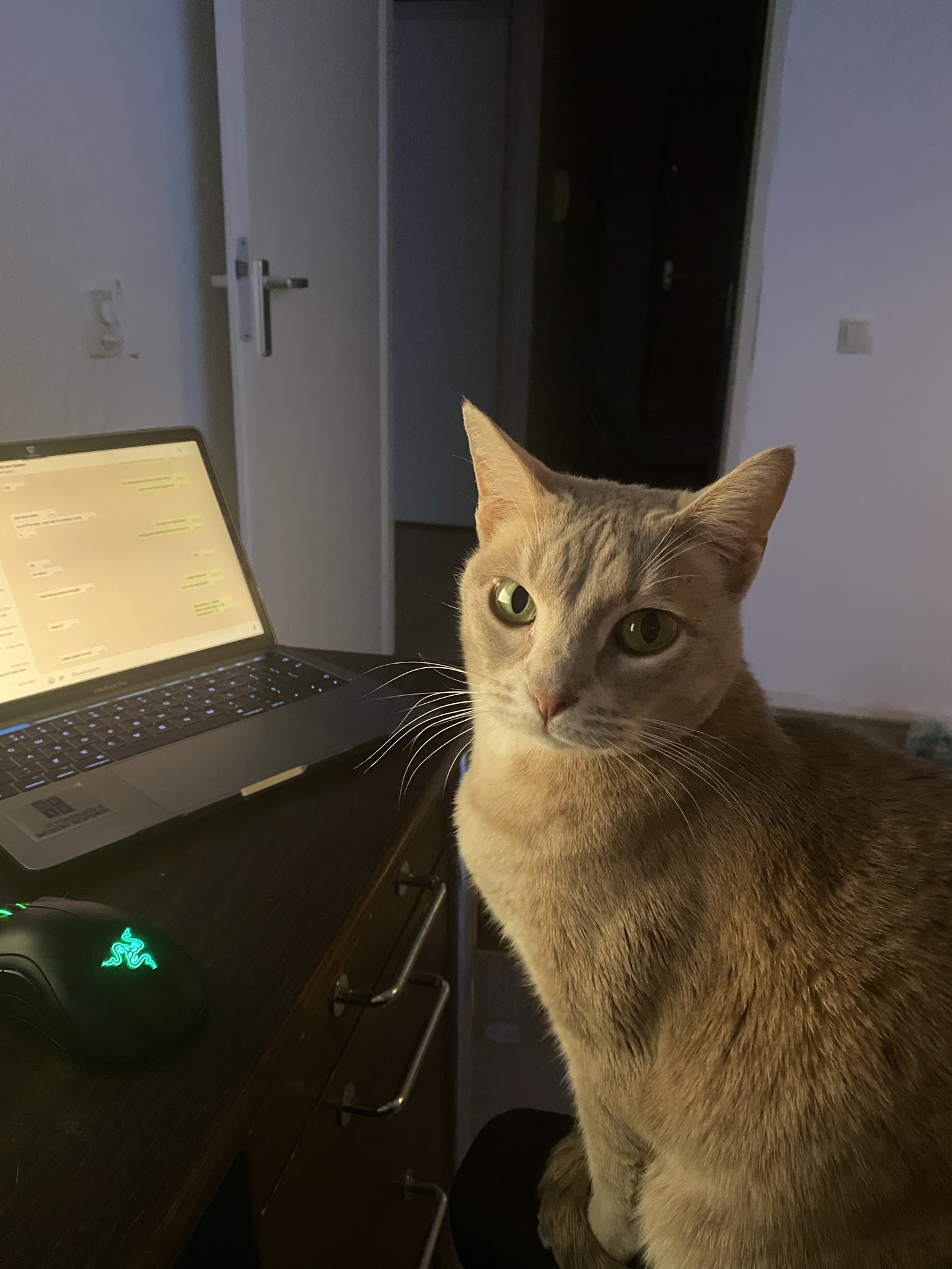 Welkom bij Stichting LibreKAT