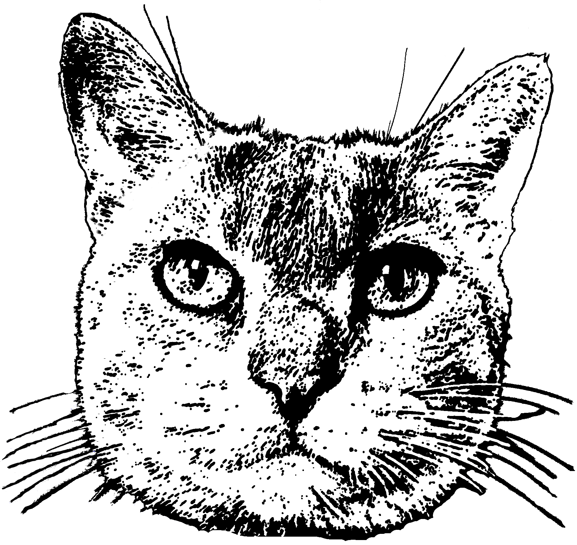 OpenKAT